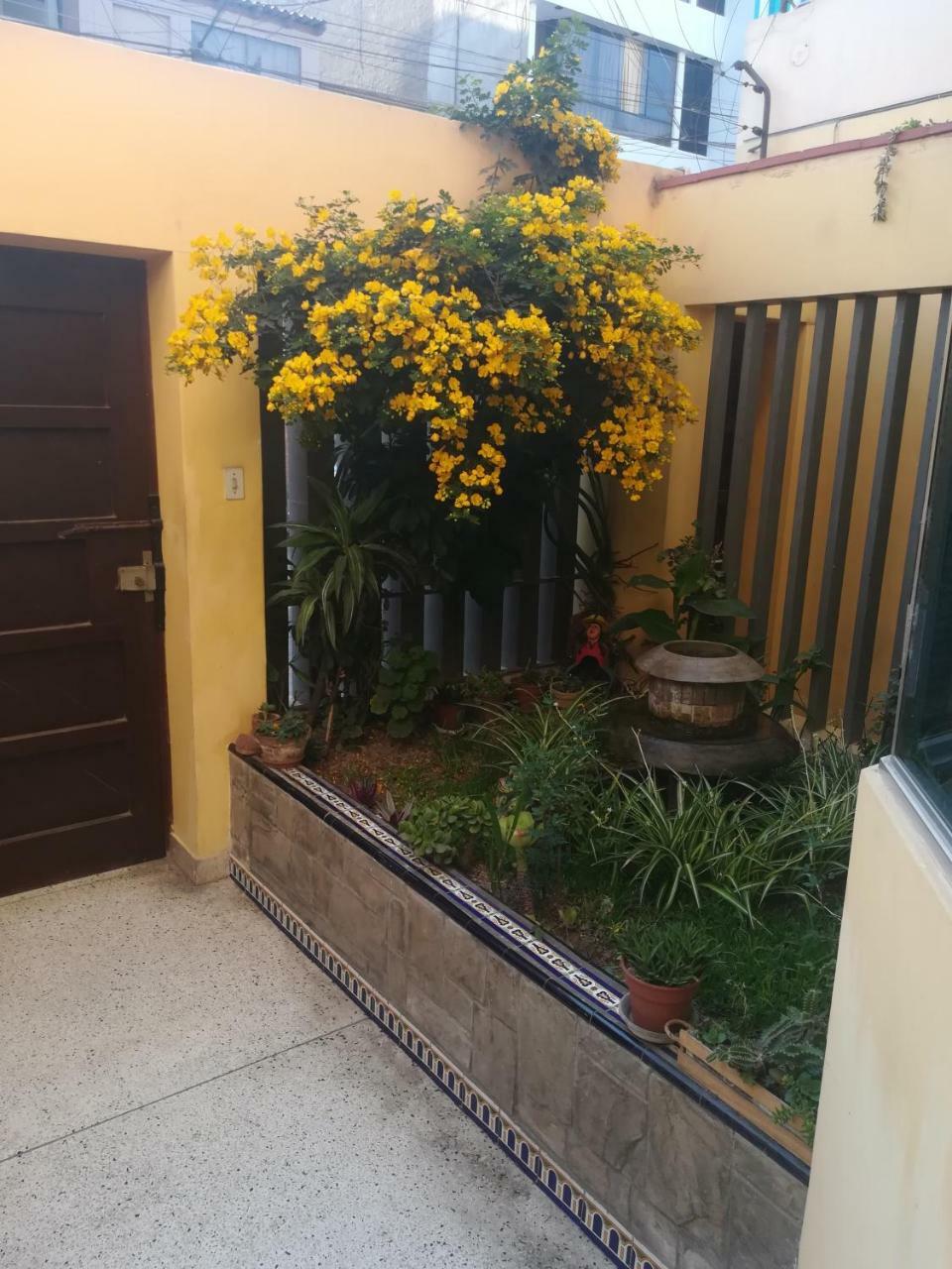 Campo de lujo Tambo Huascar 2 Lima